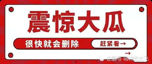 关于吃瓜娱乐八卦的网名